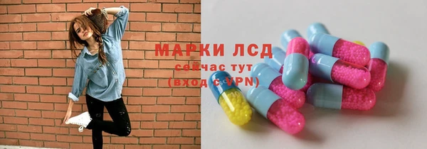 твердый Арсеньев